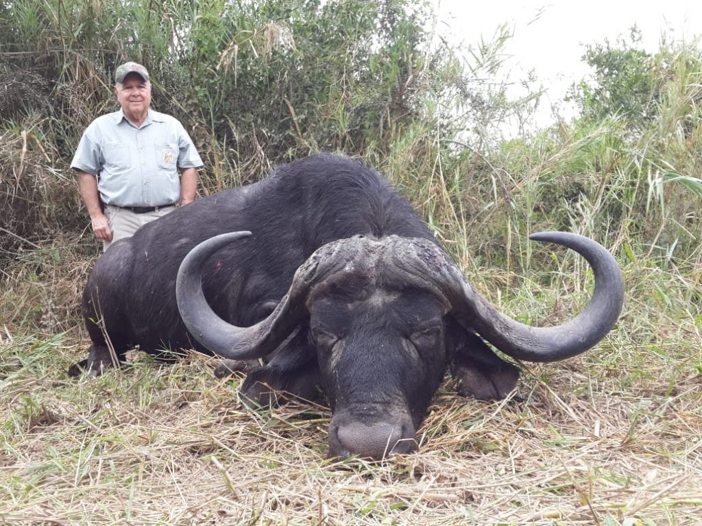 Bufallo Bull trophy hunt