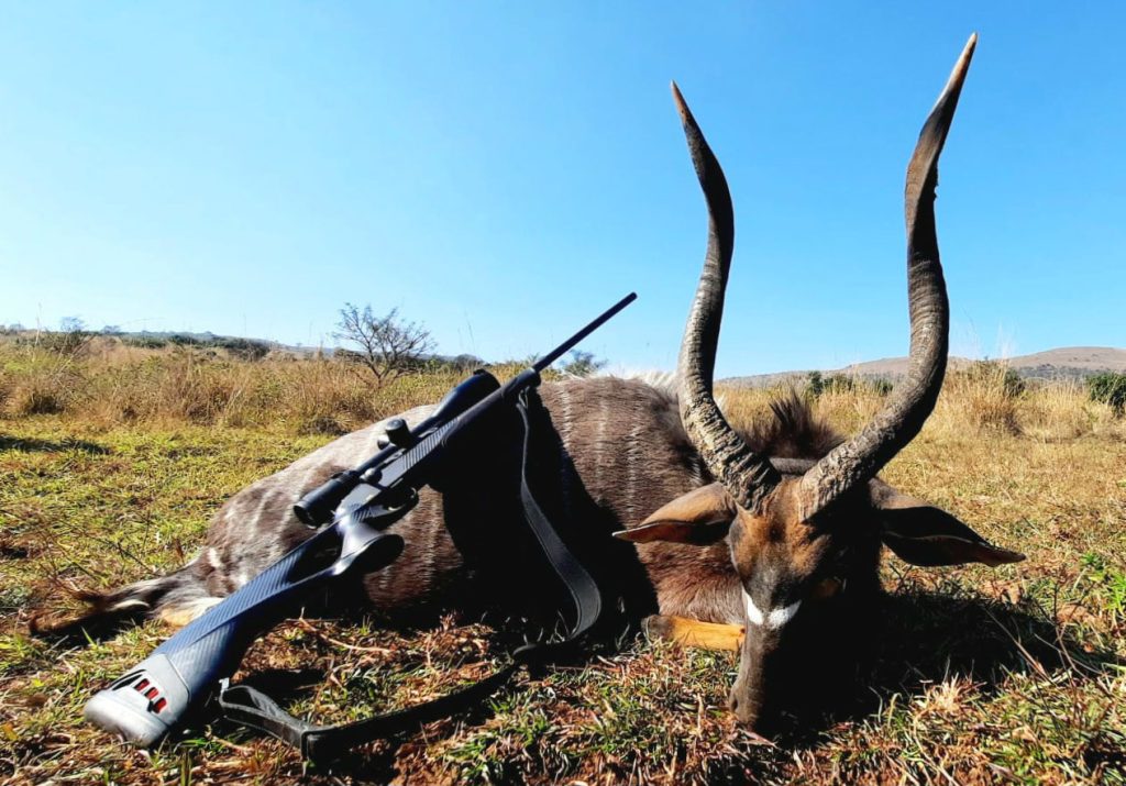 WWS-gallery-2024-101