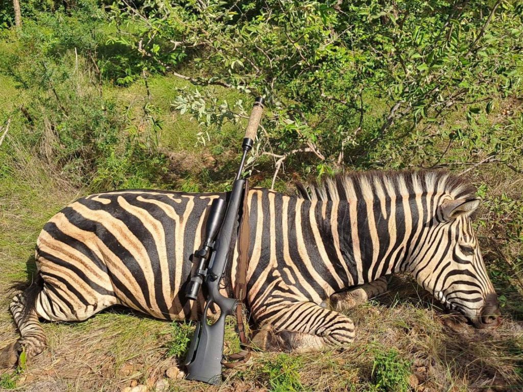 WWS-gallery-2024-102