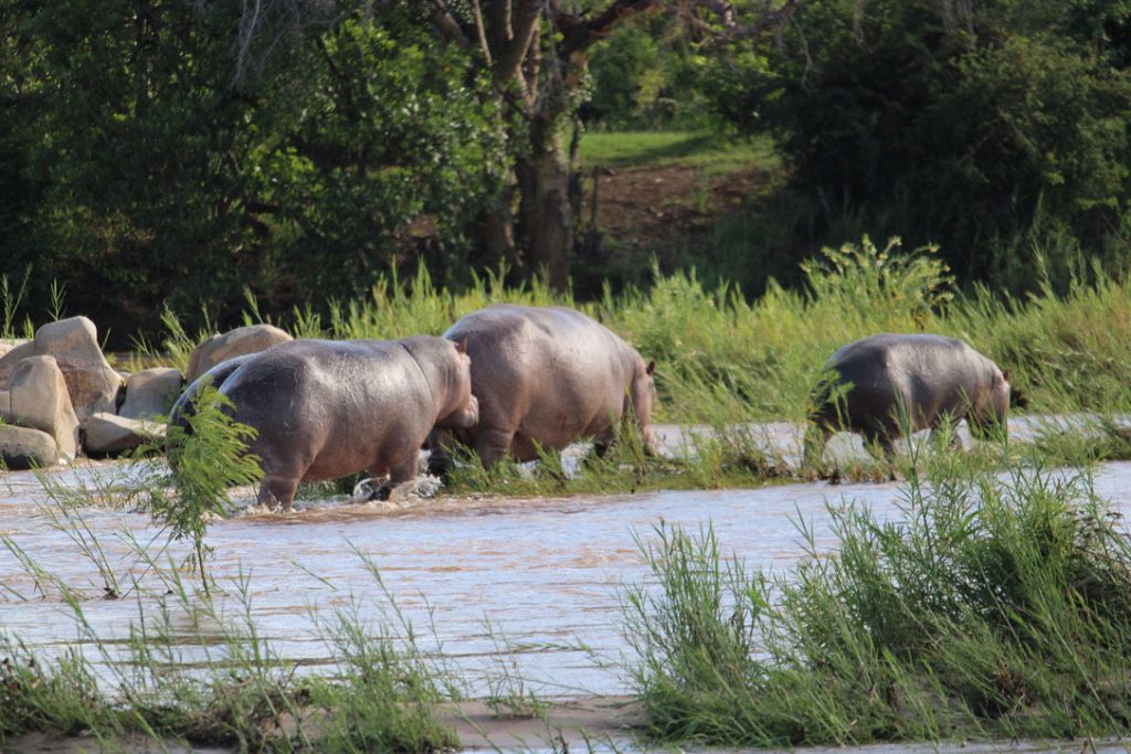 WWS-gallery-sightseeing-1