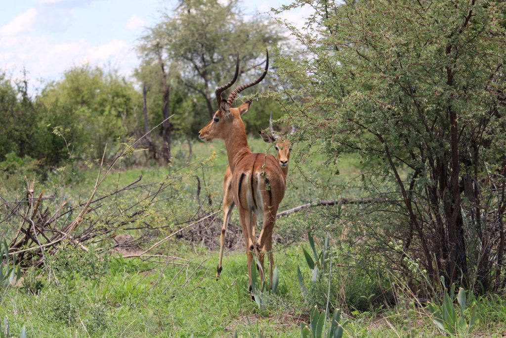 WWS-gallery-sightseeing-13