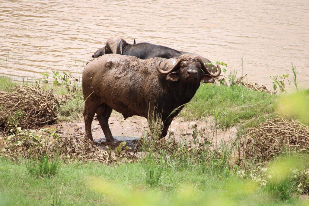 WWS-gallery-sightseeing-14