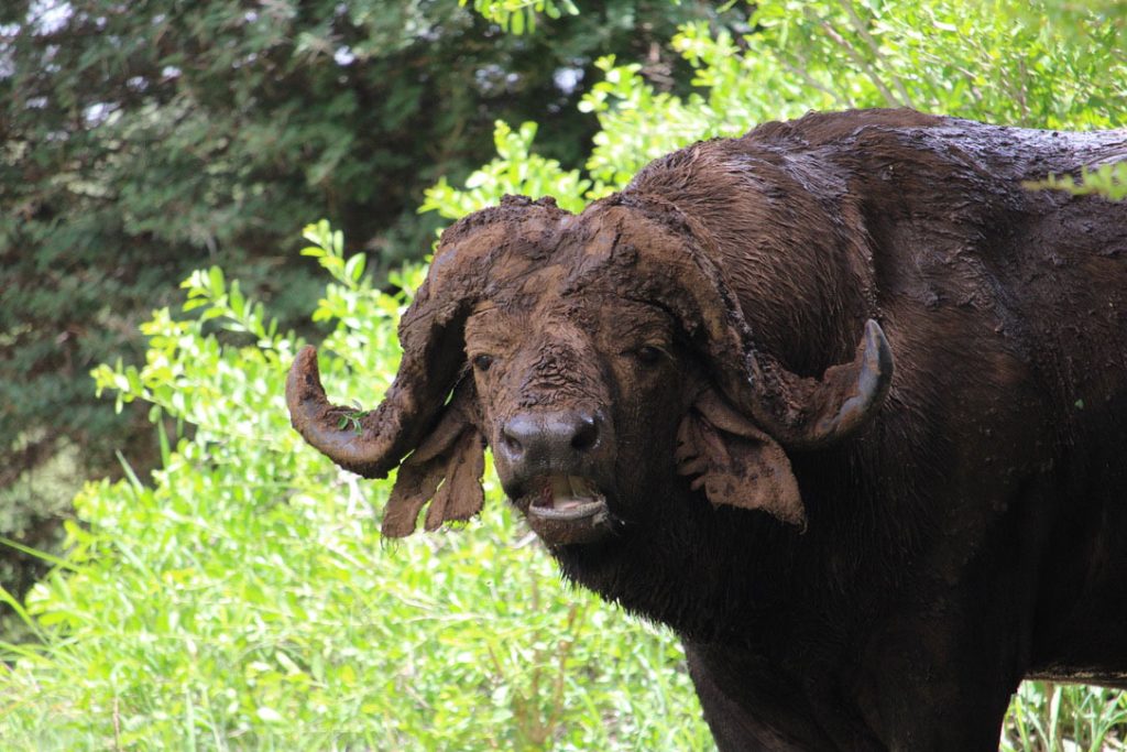 WWS-gallery-sightseeing-15