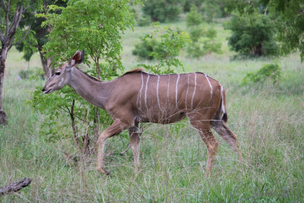 WWS-gallery-sightseeing-19