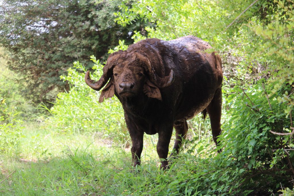 WWS-gallery-sightseeing-2