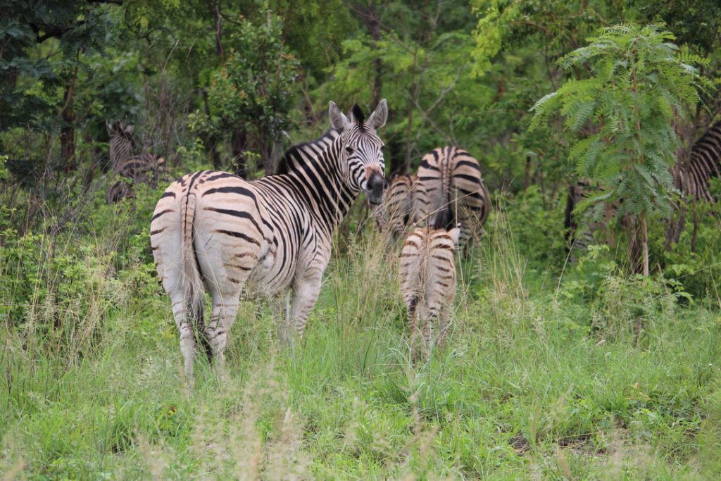 WWS-gallery-sightseeing-21