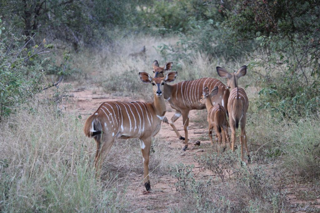 WWS-gallery-sightseeing-23