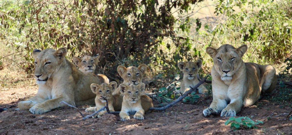 WWS-gallery-sightseeing-24