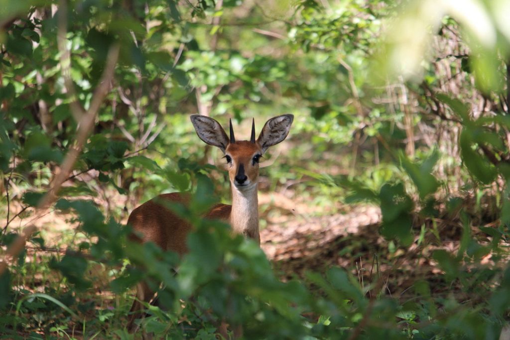 WWS-gallery-sightseeing-26