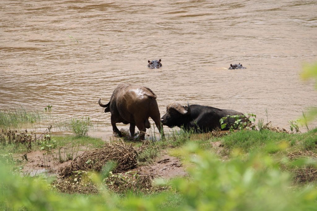 WWS-gallery-sightseeing-27