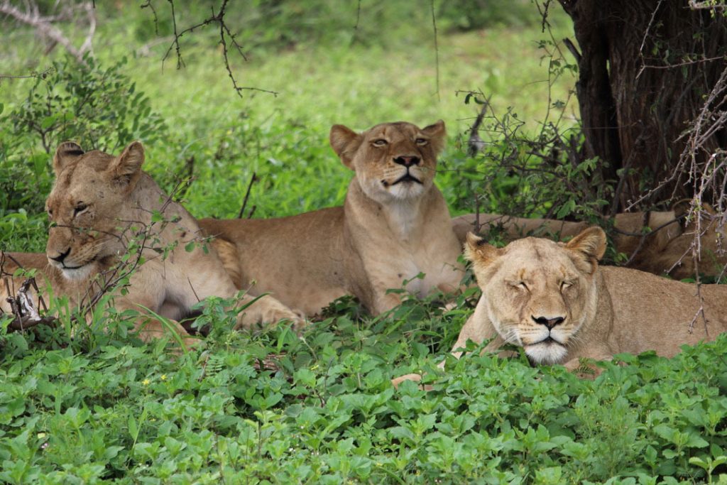 WWS-gallery-sightseeing-28