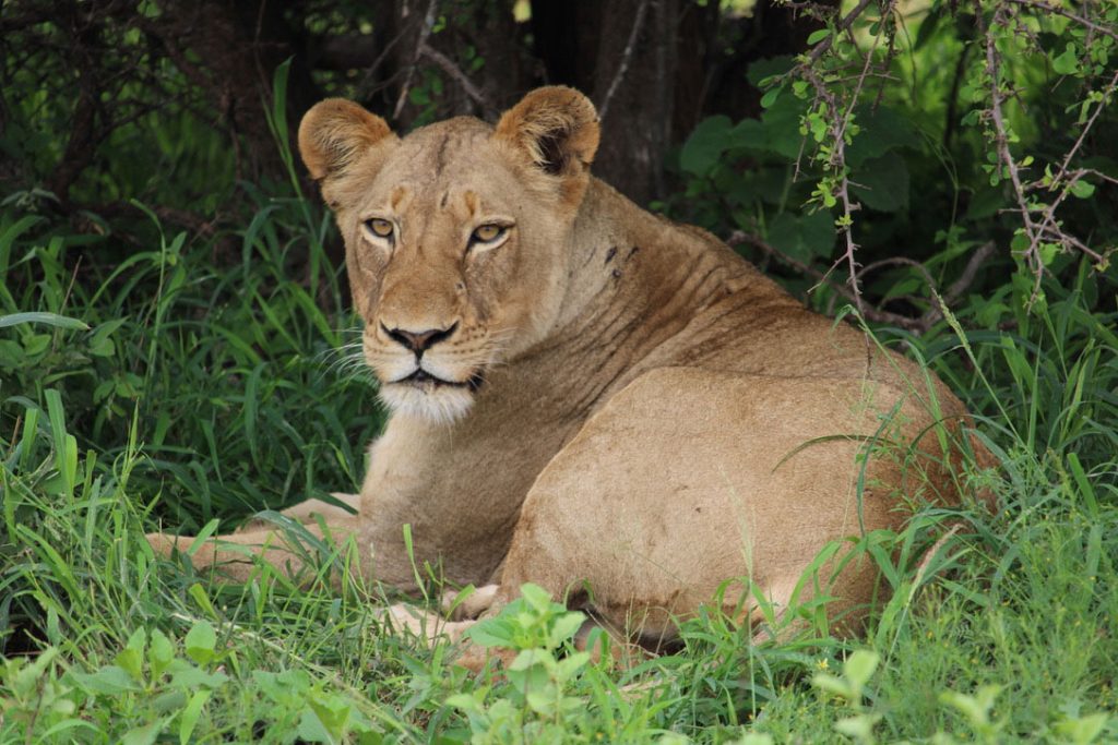 WWS-gallery-sightseeing-3