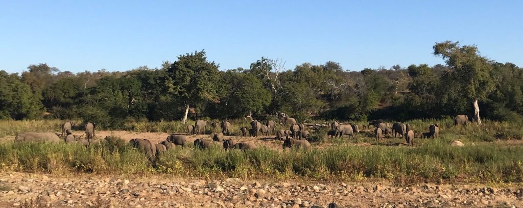 WWS-gallery-sightseeing-31