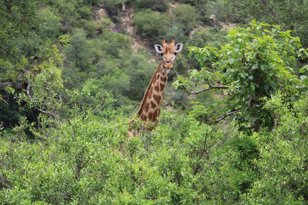 WWS-gallery-sightseeing-34