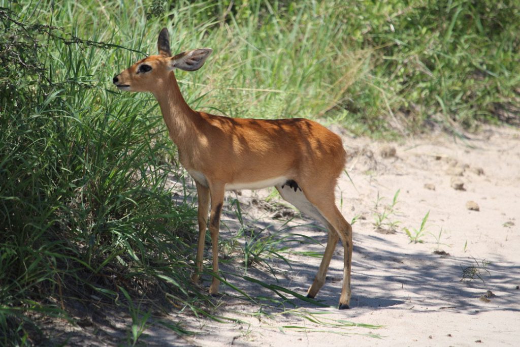 WWS-gallery-sightseeing-36