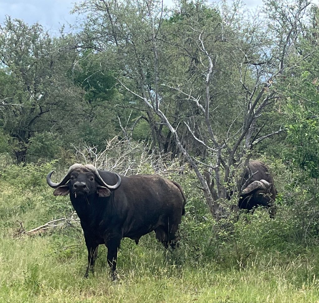 WWS-gallery-sightseeing-38