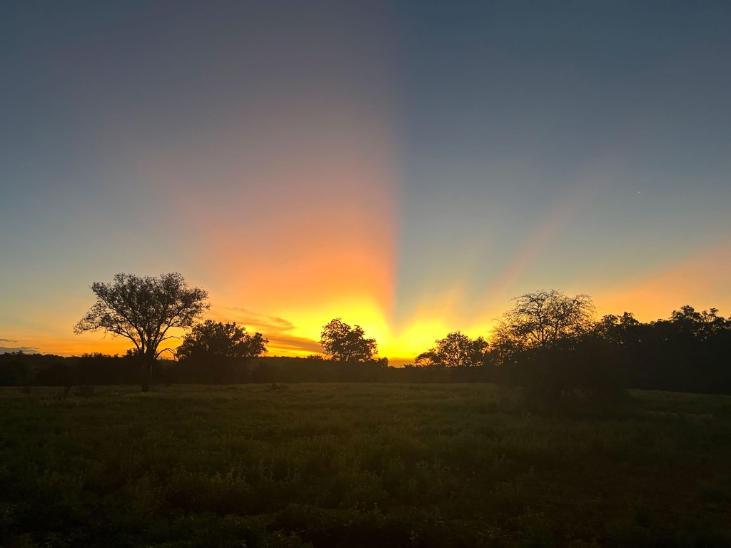 WWS-gallery-sightseeing-39