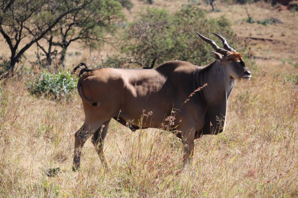 WWS-gallery-sightseeing-4