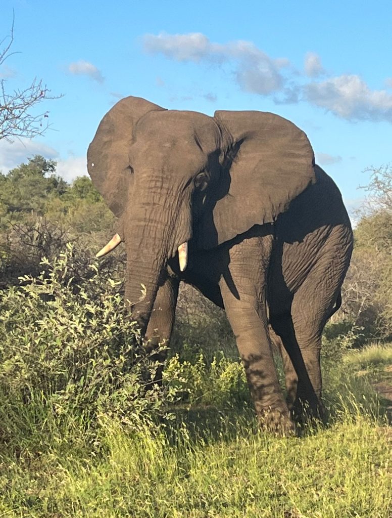 WWS-gallery-sightseeing-41