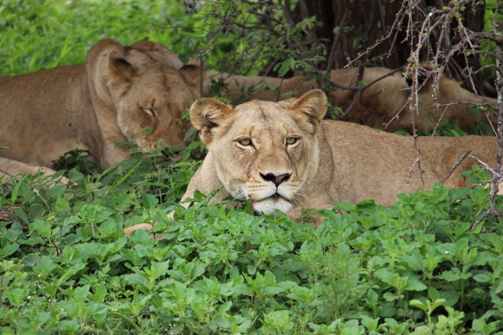 WWS-gallery-sightseeing-5