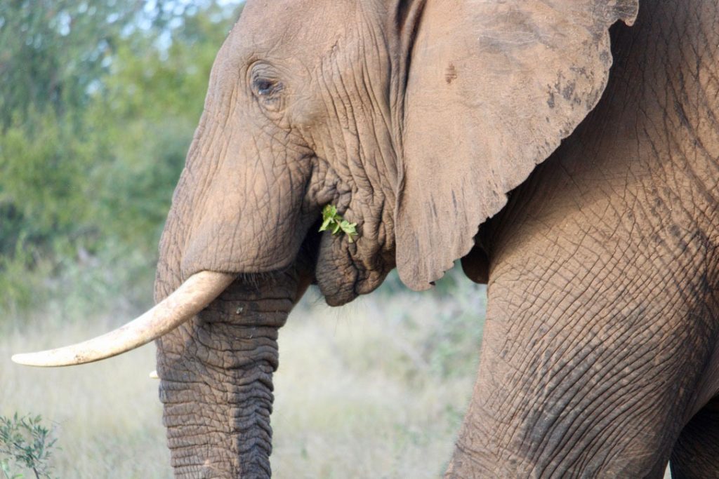 WWS-gallery-sightseeing-6