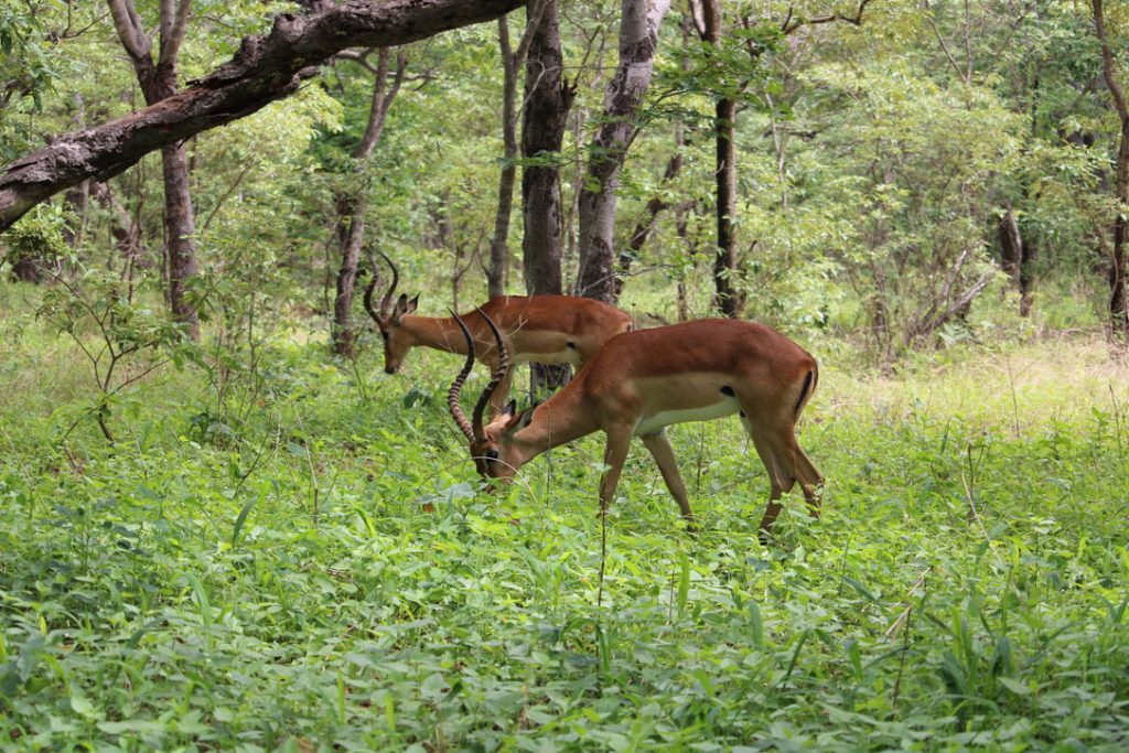 WWS-gallery-sightseeing-7