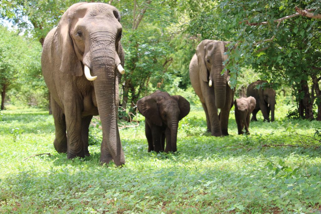 WWS-gallery-sightseeing-8